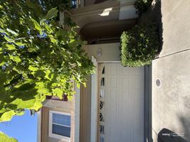 featured image of 131 Cognac Cir
