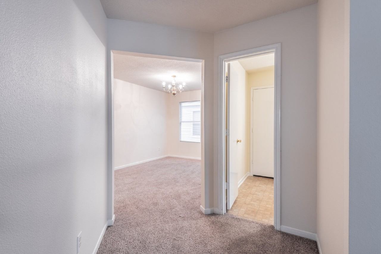 5007 Oak Stand Ct - Photo 7 of 29