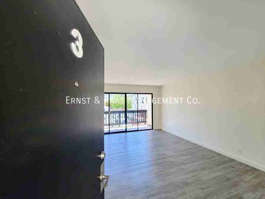 411 W 4th St #03 - Photo 3 of 14