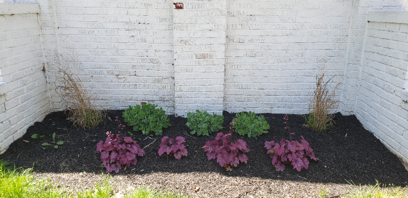 2832 N Park Ave - Photo 2 of 31