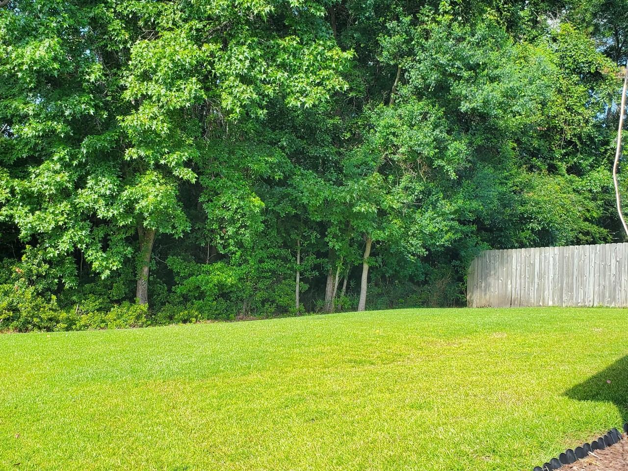 103 Salem Creek Dr - Photo 4 of 16