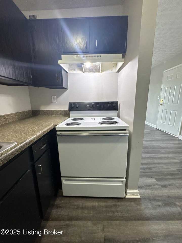 4103 Blue Lick Ct #6 - Photo 5 of 14