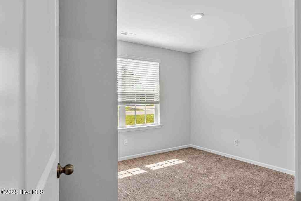 419 Turp Landing Ln - Photo 5 of 40