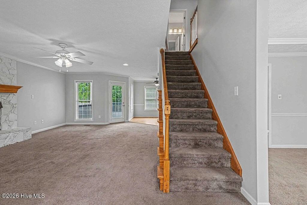 209 Lansing Ct - Photo 4 of 44