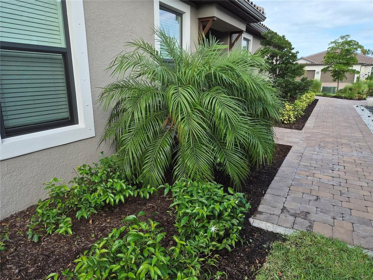 10057 Morning Mist Ln - Photo 3 of 33