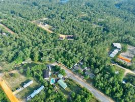 featured image of Pinetree Ln