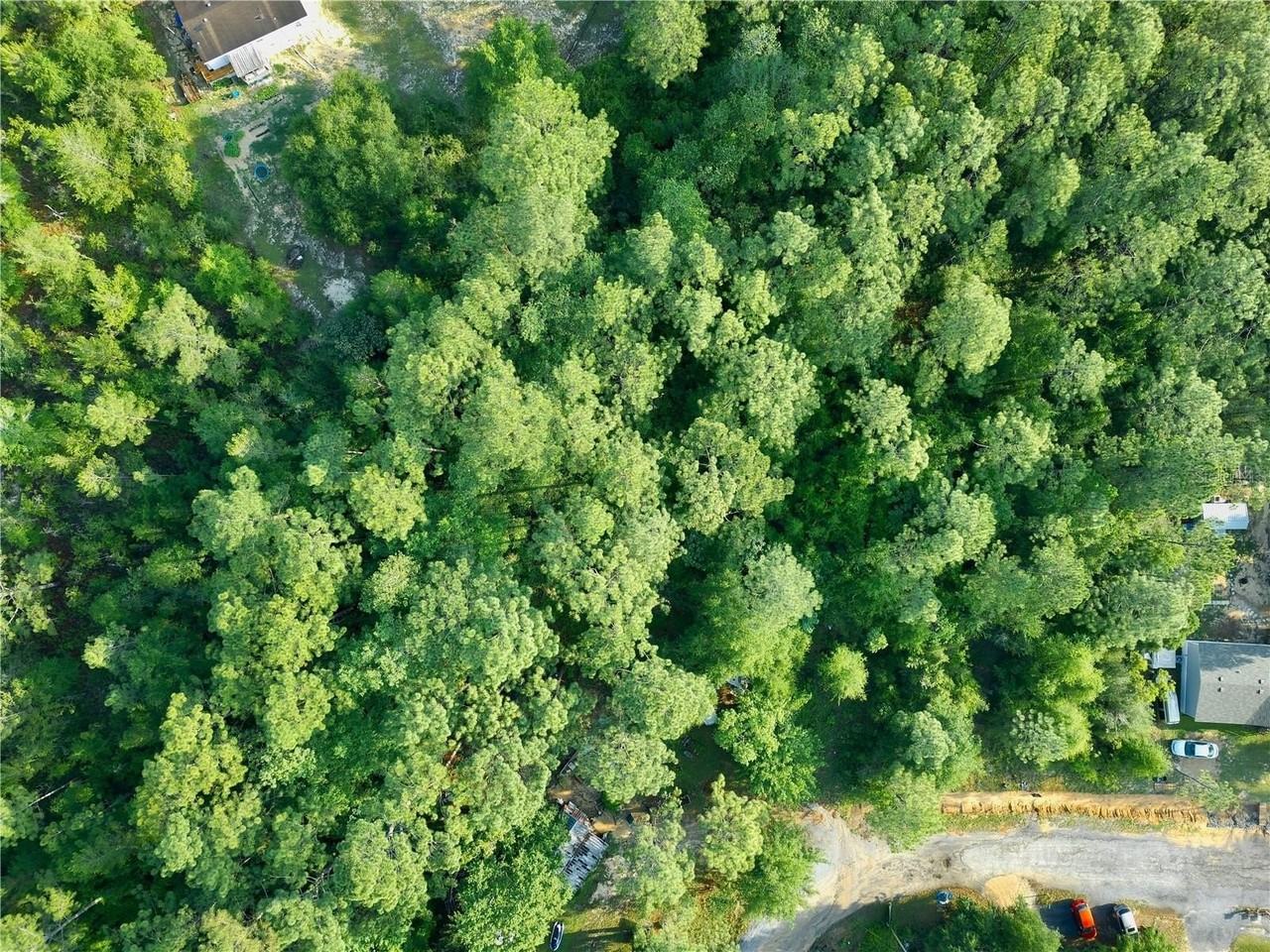 Pinetree Ln - Photo 7 of 40