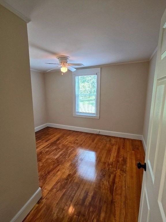 441 Walpole St #A - Photo 7 of 21