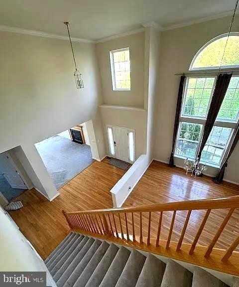 1 Cardiff Ct - Photo 2 of 38
