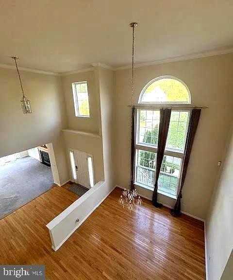 1 Cardiff Ct - Photo 5 of 38