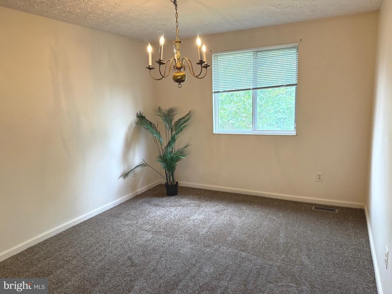 12866 Bison Ct - Photo 7 of 22