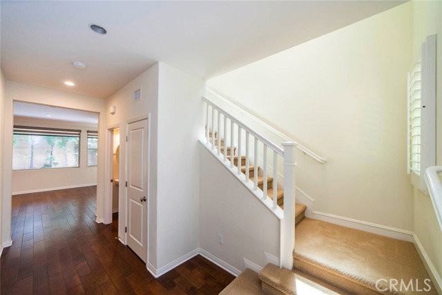 33 Bromeliad