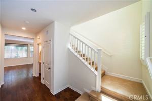 featured image of 33 Bromeliad