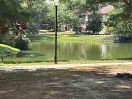 featured image of 1151 Golden Pond Ct