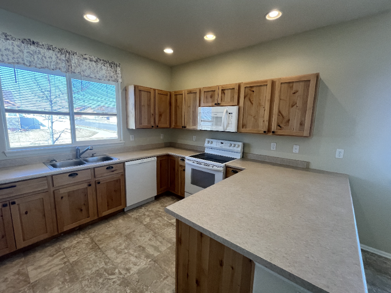 814 Mt Sneffels Ave - Photo 4 of 20
