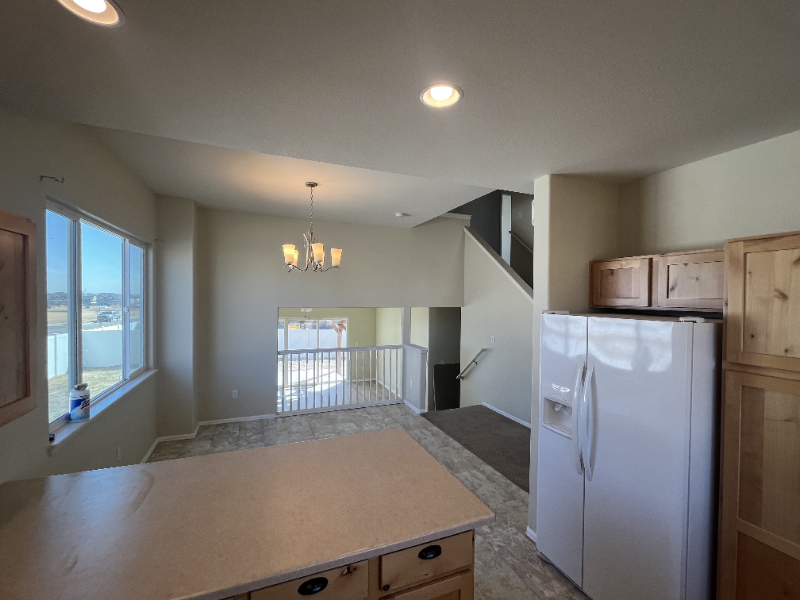 814 Mt Sneffels Ave - Photo 6 of 20
