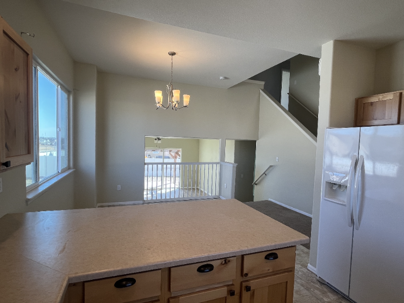 814 Mt Sneffels Ave - Photo 7 of 20