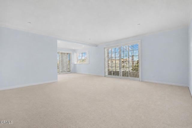 1830 Pelham Ave #301 - Photo 6 of 8