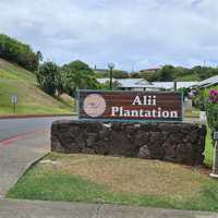 featured image of 1205 Ala Alii St #80