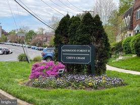 4847 Chevy Chase Dr #172 - Photo 1 of 1