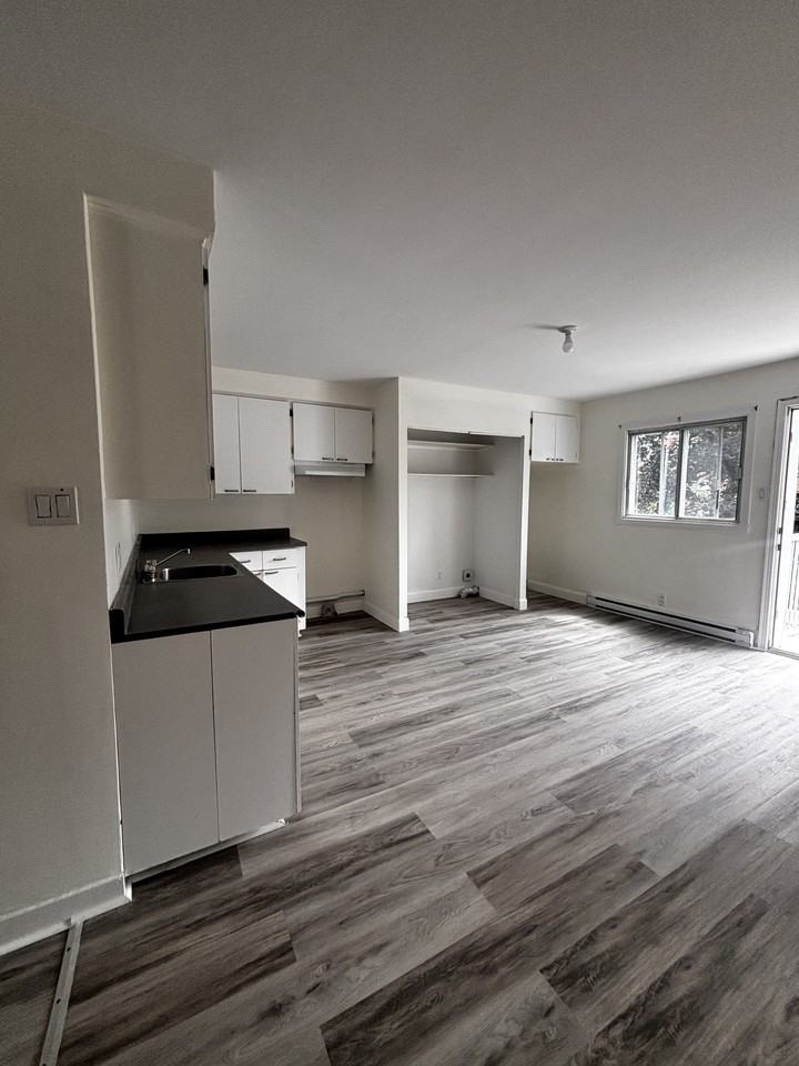 5270 Place Jules-Fournier - Photo 5 of 16