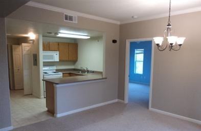10001 Woodcreek Oaks Blvd Unit 211 #1 - Photo 4 of 5