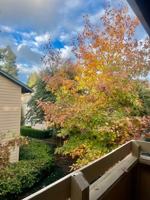 featured image of 4121 Dale Rd #68