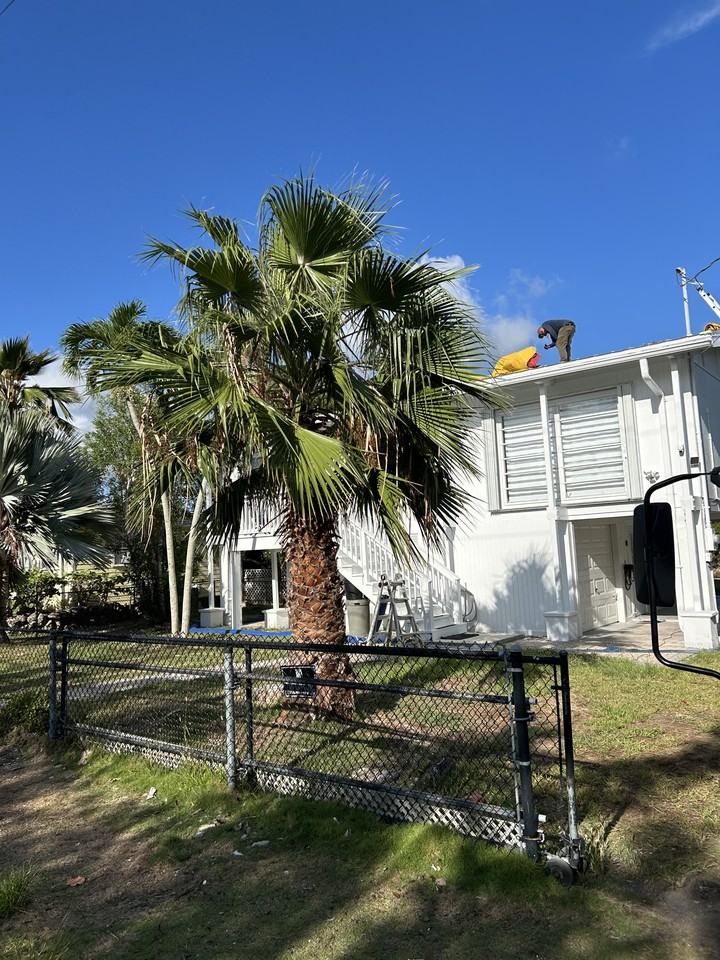 1166 Fern Ave #A1 - Photo 3 of 11