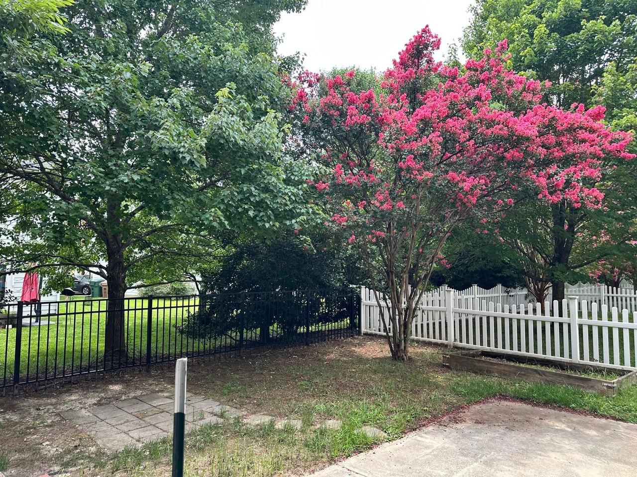551 Abbey Fields Loop #NA - Photo 4 of 50