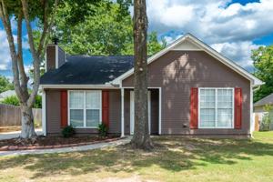 featured image of 132 King James Ct