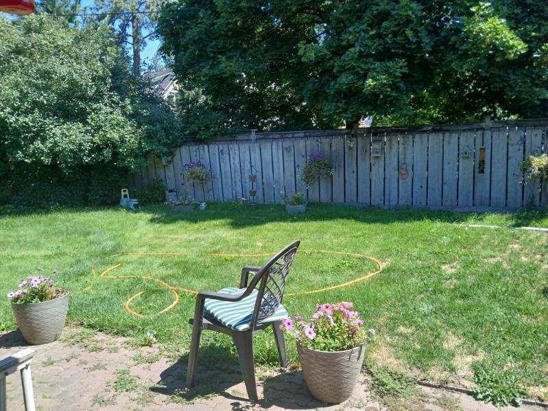 1611 S Division St #1611 - Photo 4 of 9