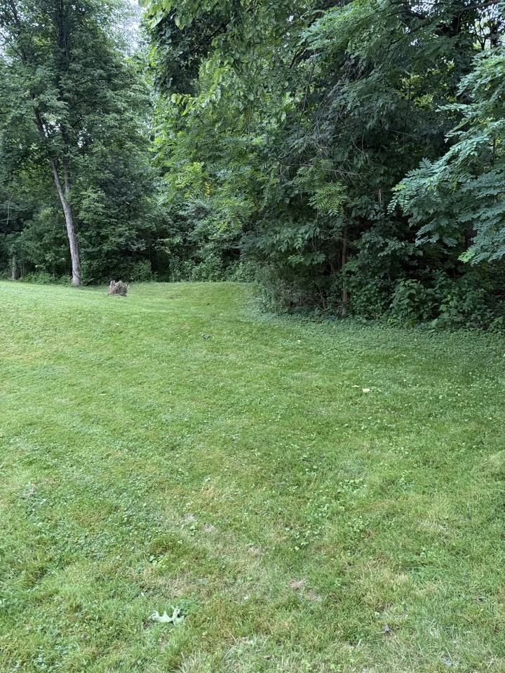 85 Adams Dr - Photo 6 of 7