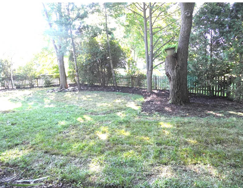 253 Caswell Dr - Photo 3 of 8