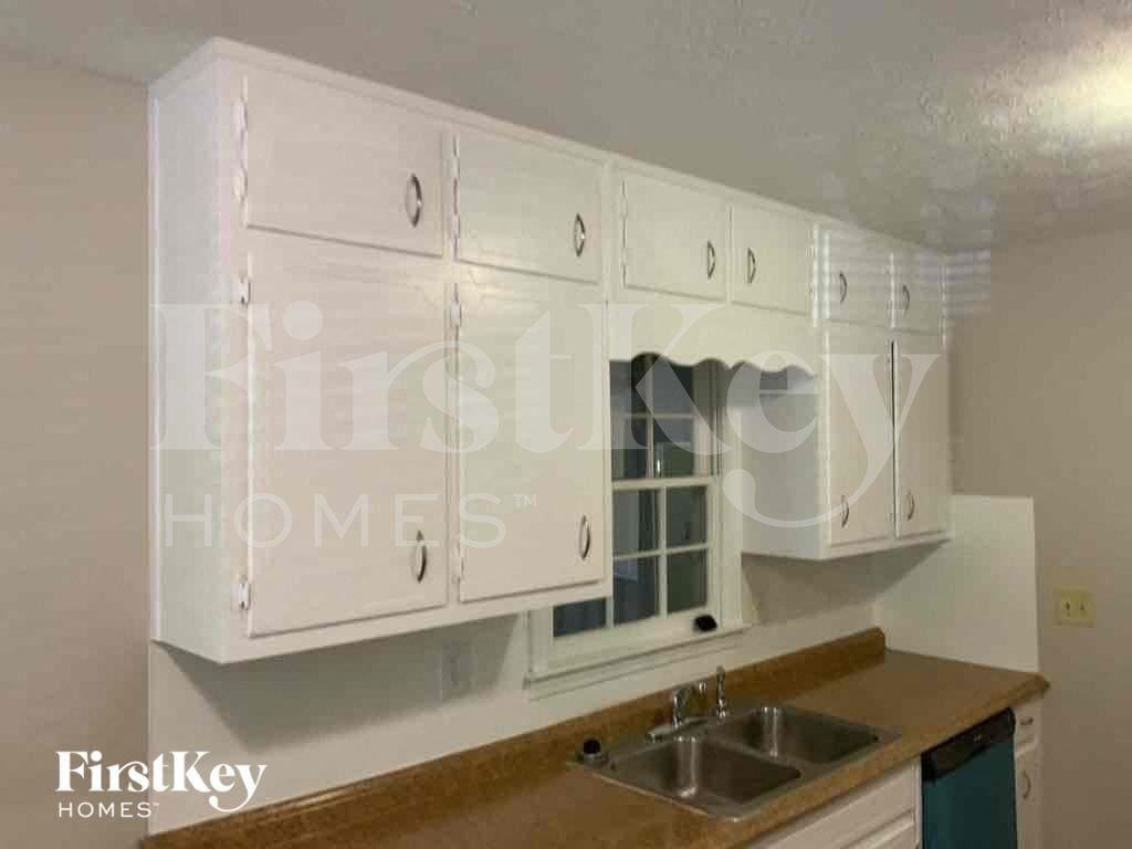 557 Rock Shadow Ct - Photo 5 of 11