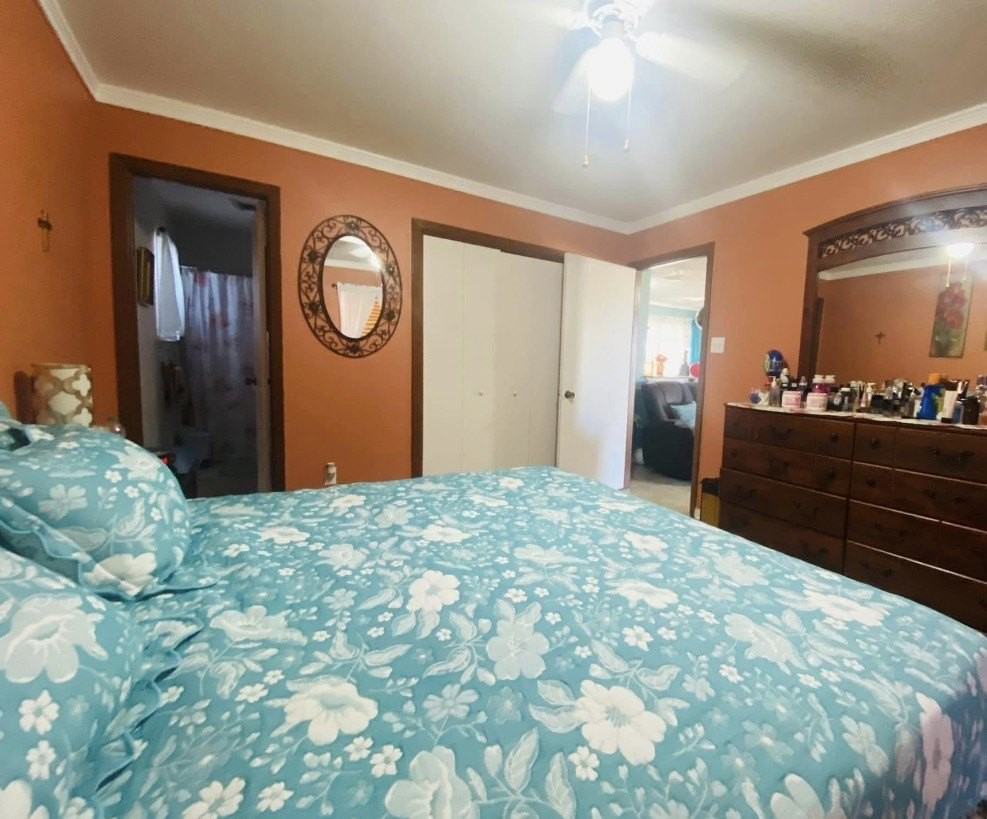504 Wilson Rd - Photo 4 of 12