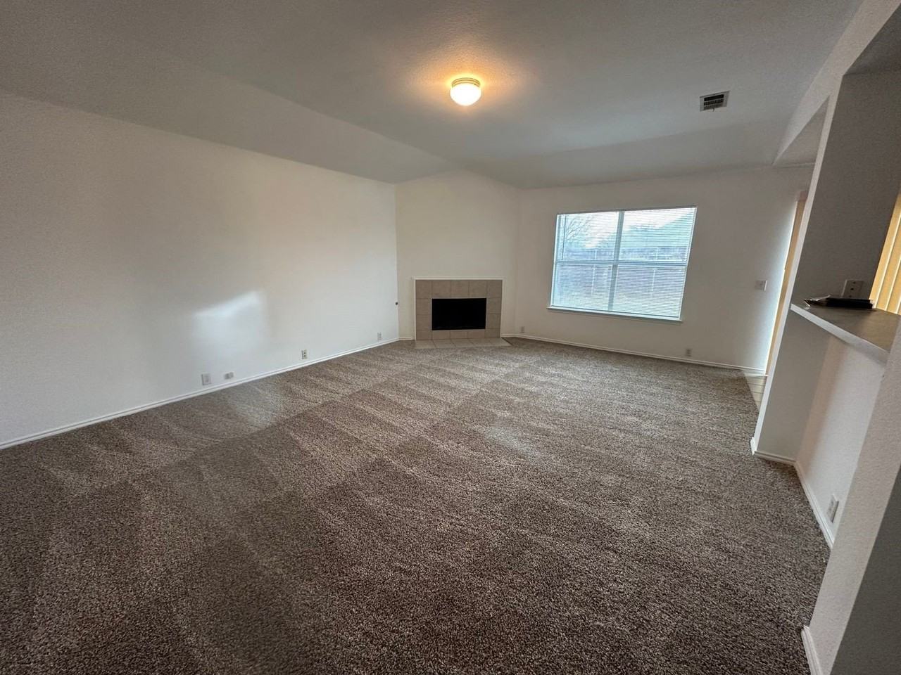 8255 Horse Whisper Ln - Photo 2 of 19