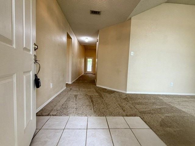 12333 Silver Mist Trl - Photo 2 of 20