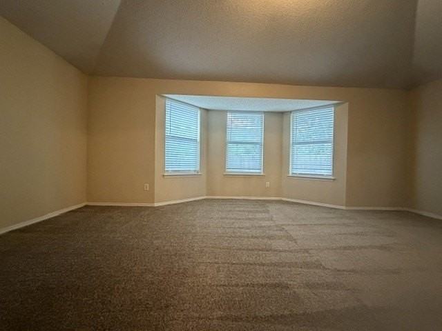 12333 Silver Mist Trl - Photo 7 of 20