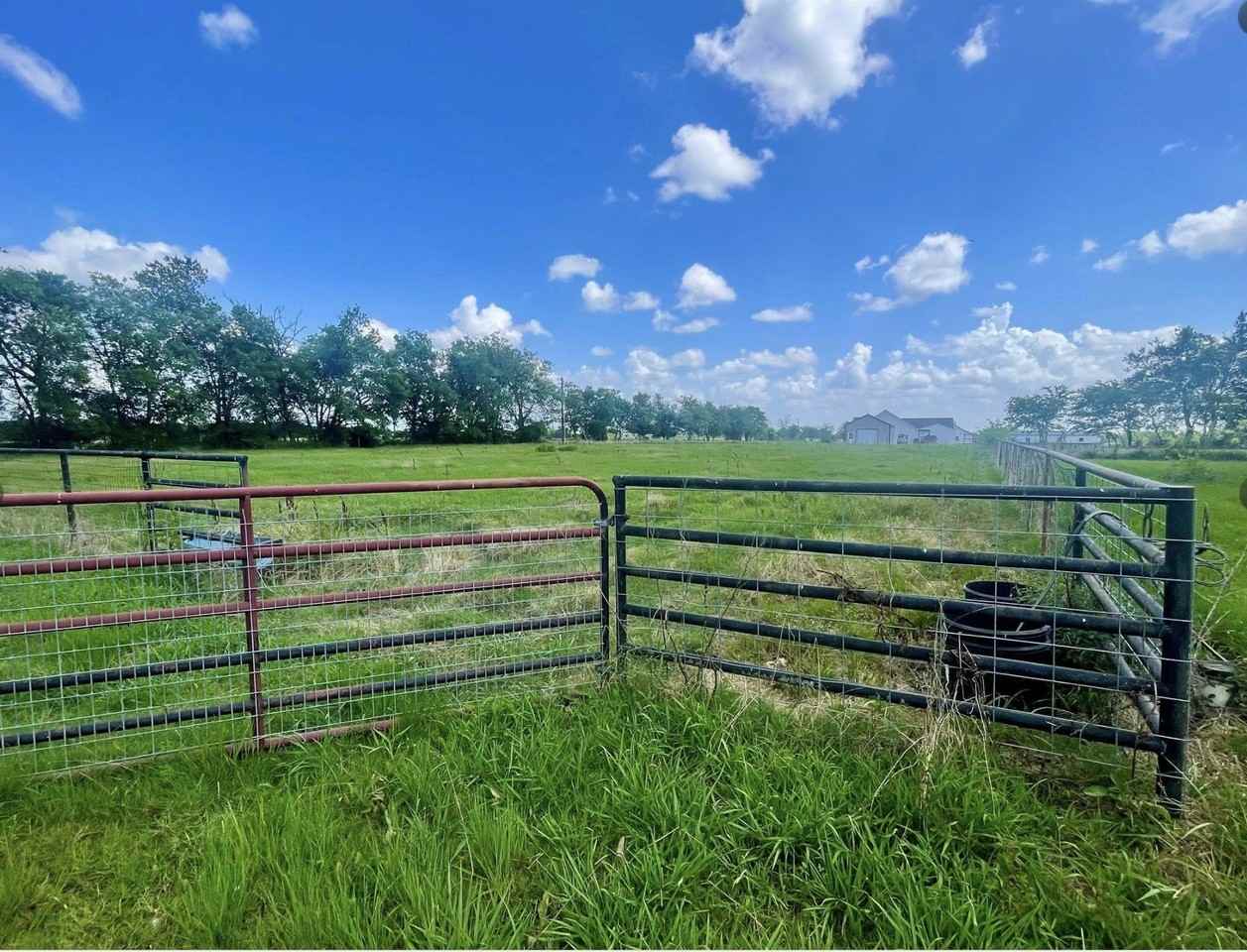 1692 Farm Road 2653 S - Photo 3 of 35