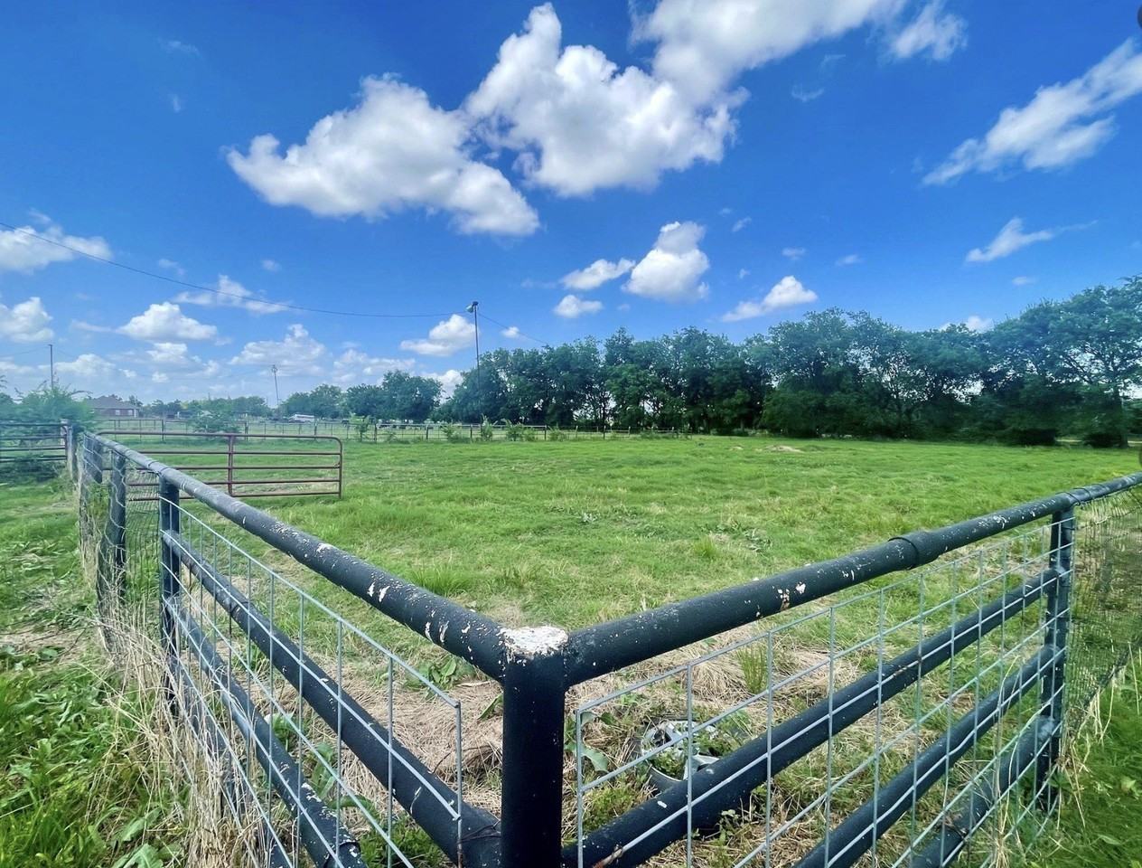 1692 Farm Road 2653 S - Photo 5 of 35