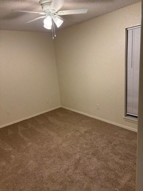 9813 Walnut St #303 - Photo 5 of 6