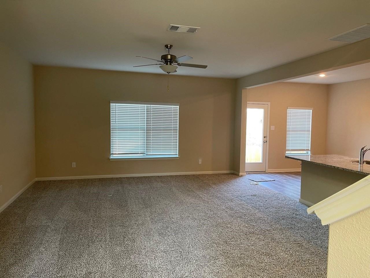 311 Clear Springs St - Photo 3 of 25