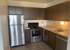 W Dickens Dr & N Lincoln Park W - Photo 1 of 1