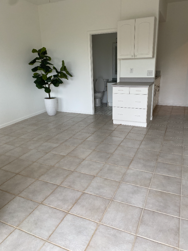 523 Hiilei Pl - Photo 4 of 10