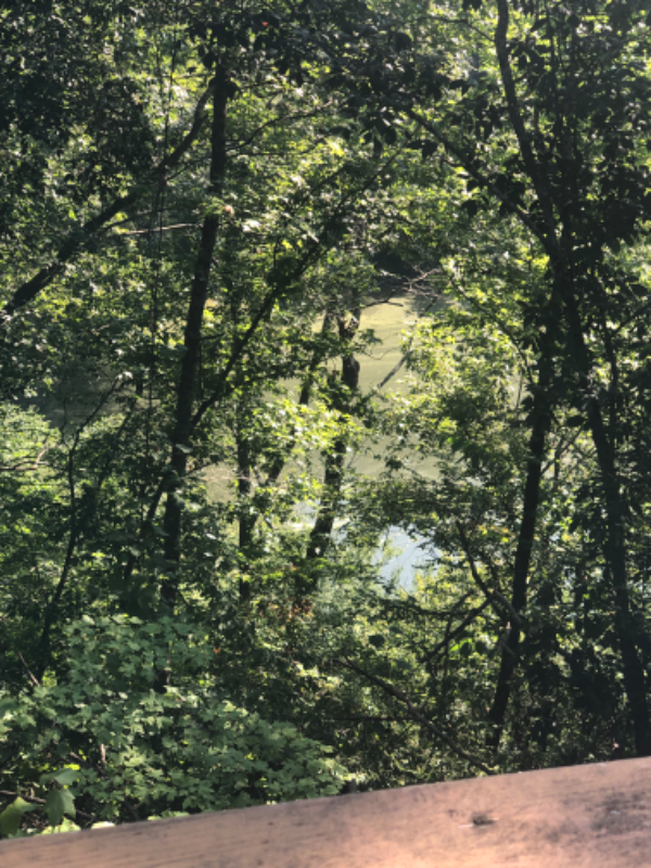 1 Sumiton - Photo 2 of 3