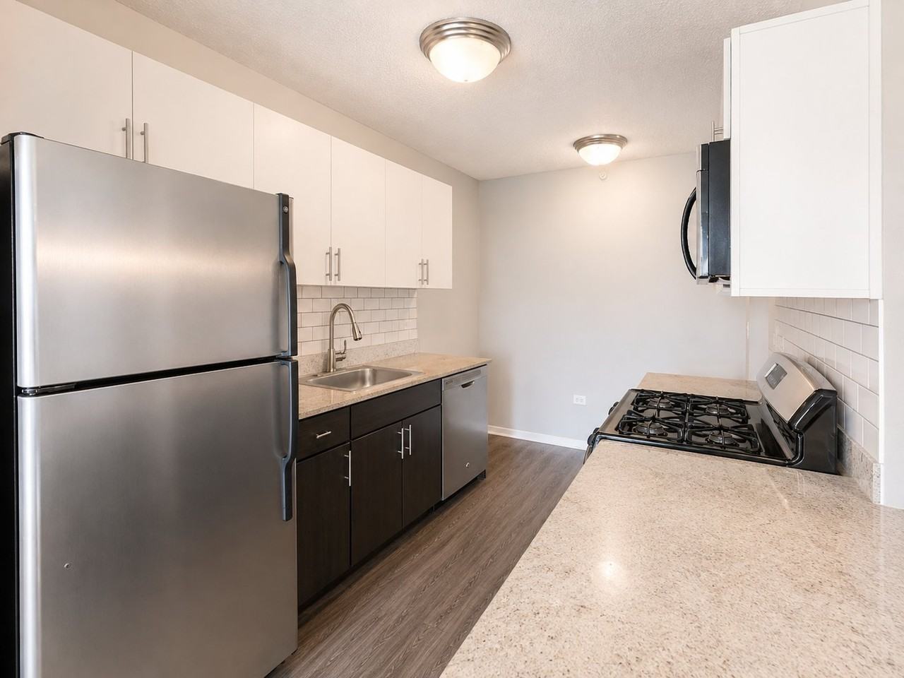 605 W Lake St #2411 - Photo 4 of 16