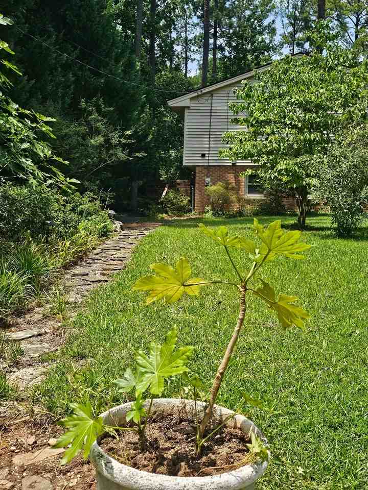 3212 Fairforest Pl #2ndLEVEL - Photo 2 of 10