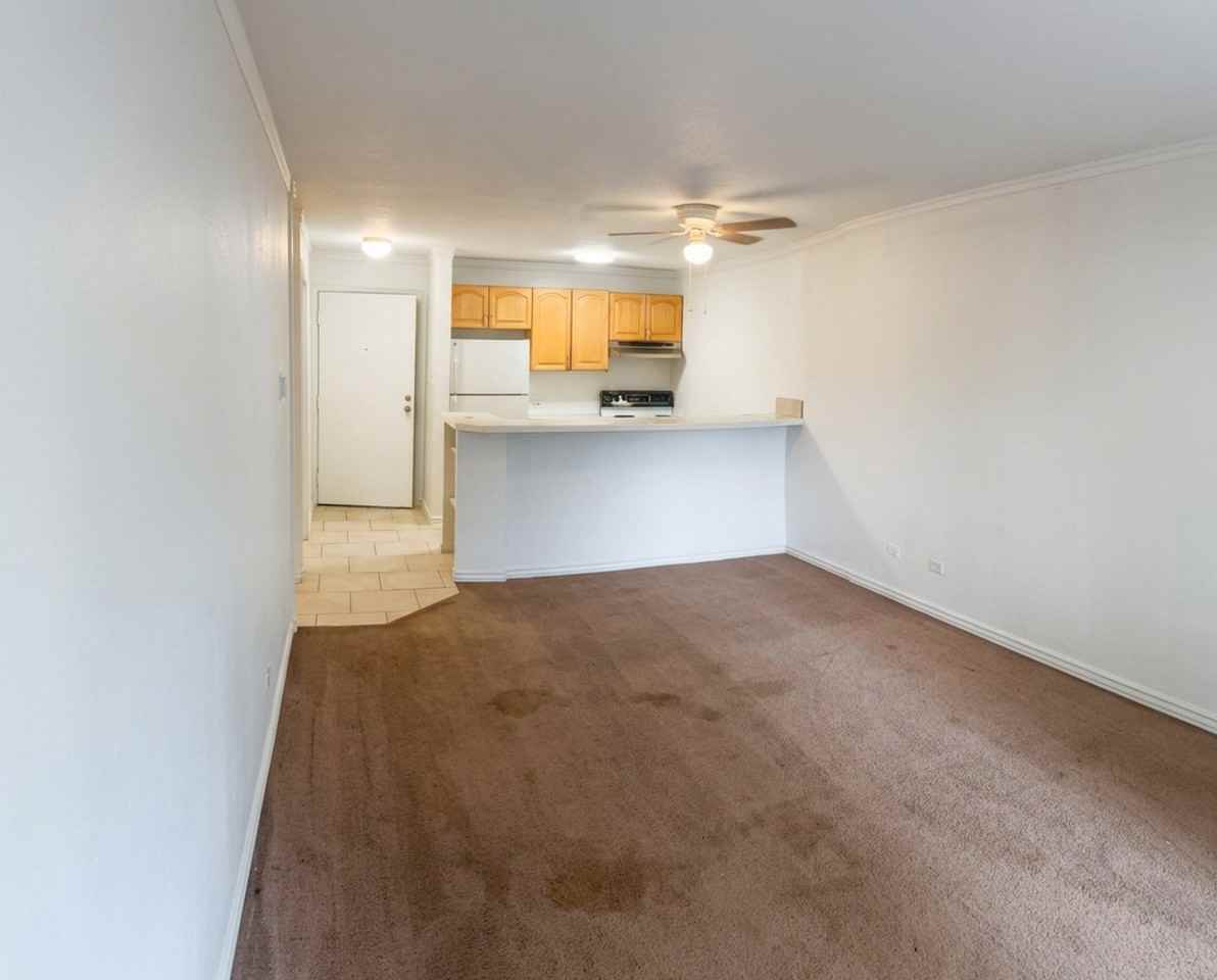 707 W 96th Ave #8 - Photo 4 of 10