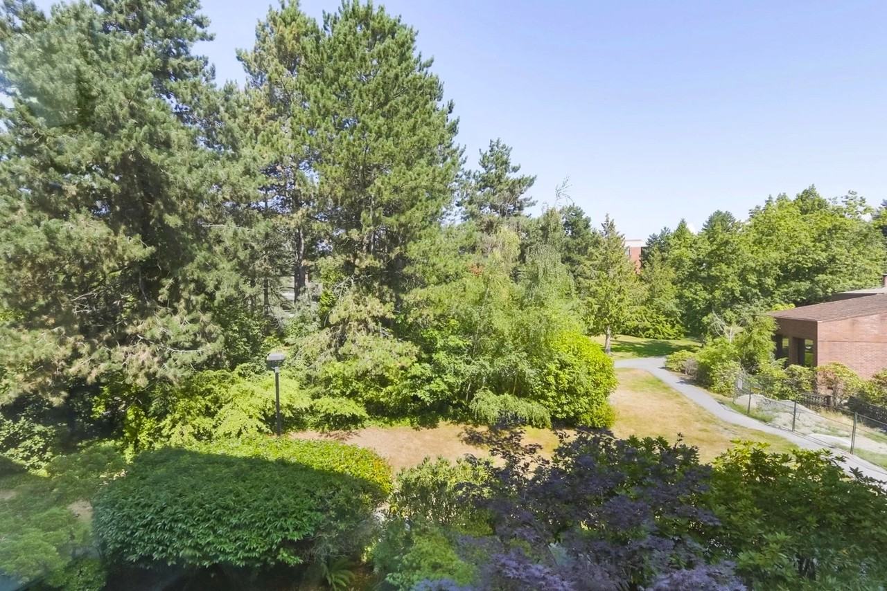 2101 McMullen Avenue #508 - Photo 5 of 22