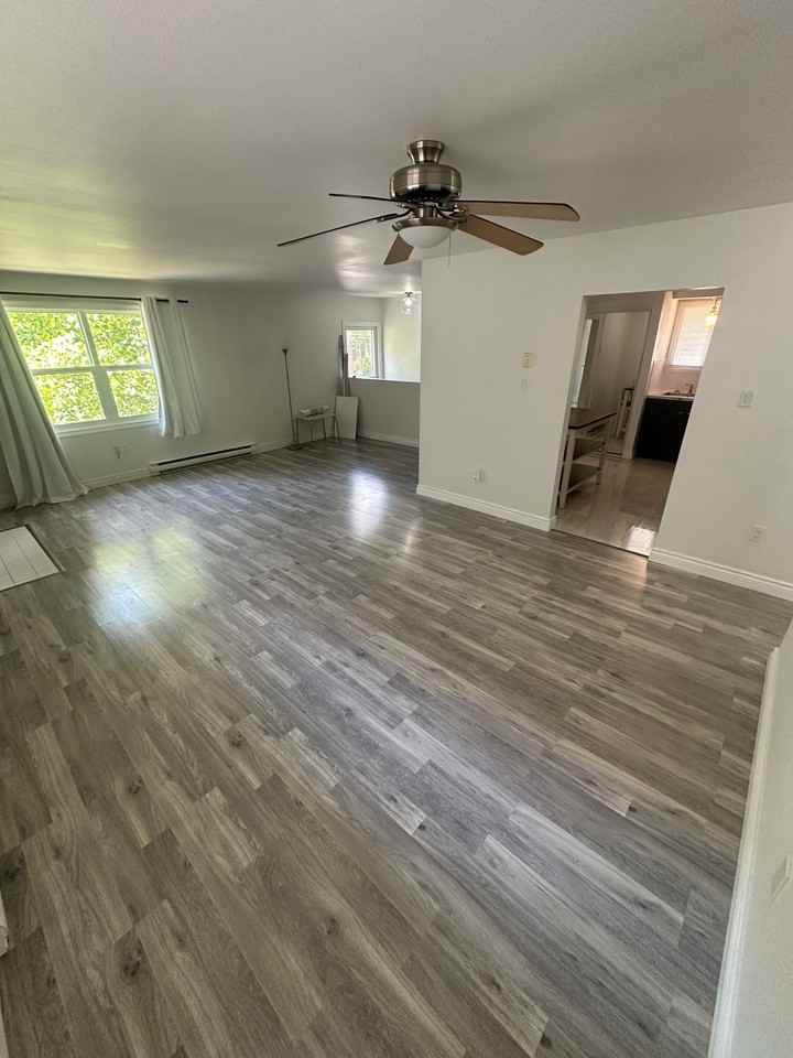 22 Palace Street - Photo 5 of 16